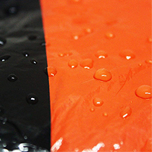 d2fc272f-92f9-49b4-9179-b9b7cb23d997.__CR0,0,220,220_PT0_SX220_V1___